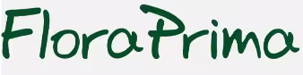 Flower delivery service FloraPrima, order flowers online
